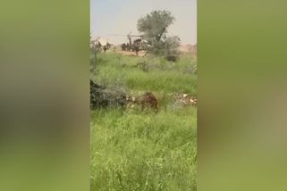 Video: Vyzvedávali raněné. Hizballáh zaútočil dronem na izraelský vrtulník - Seznam Zprávy