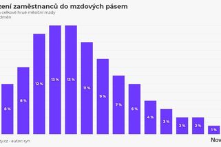 Polovina lidí vydělává do 29 tisíc korun - Novinky