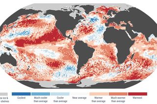 Teplota světových moří se blíží rekordům. El Niño však teprve začíná - Novinky