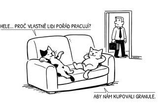 Kočky mají jasno: lidé chodí do práce z jednoho prostého důvodu - Médium.cz