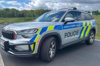 Řidič narazil na Benešovsku do kamionu stojícího u čerpací stanice, spolujezdec zemřel - Novinky