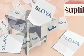 Šuplík: Varování před projedenou budoucností nikoho nezajímá. A divíte se? - Seznam Zprávy