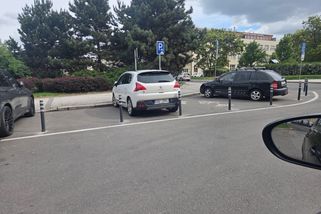 Majitelé aut si za to můžou sami, se sloupky jsme čekali několik dní. TSK vysvětluje břevnovskou kauzu