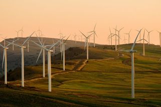 Týden v OZE: Politici neví, kam dřív, záporné ceny tvoří nový energetický paradox