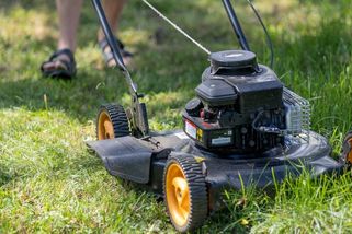 Češi riskují za sekání trávy o víkendu pokutu až 30 tisíc: Obce zpřísňují vyhlášky