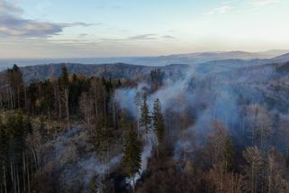 FOTO: V Beskydech shořela část lesa. S hašením pomáhaly čtyřkolky, dron i vrtulník - Novinky