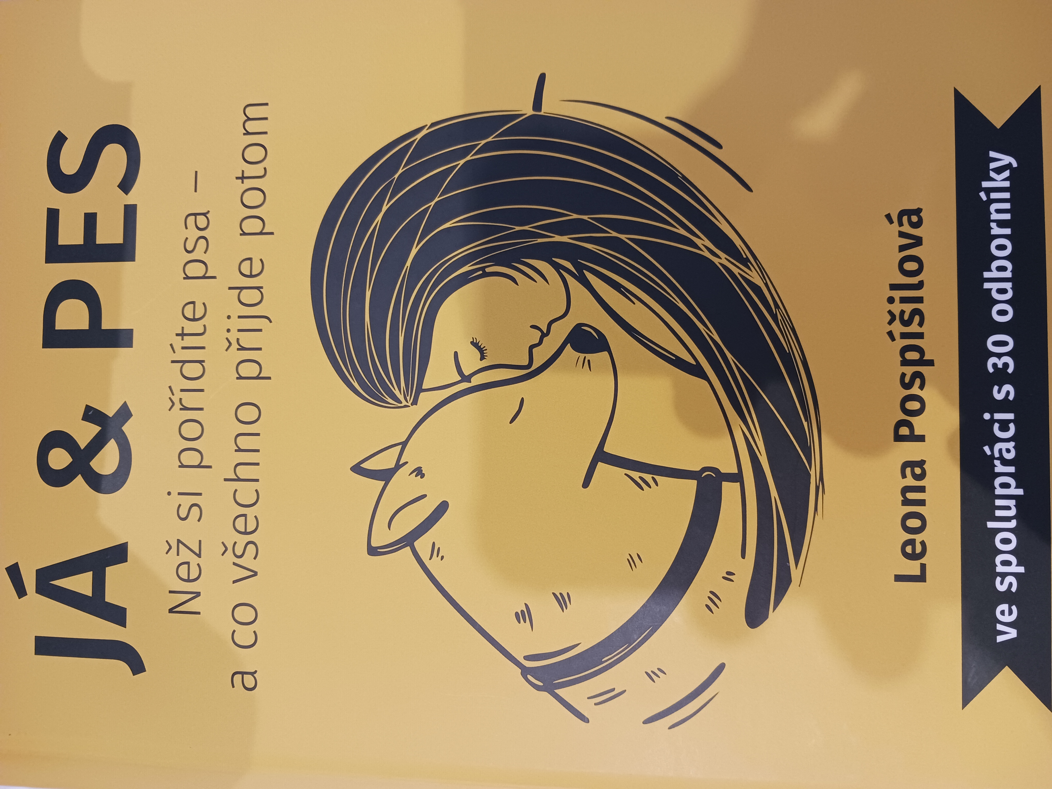 Obrázek u příspěvku číslo 1