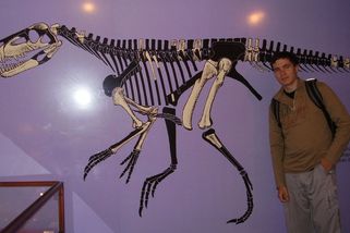 V druhohorách žil na území Polska skutečný drak. Dostal jméno Smok wawelski - Médium.cz