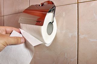 "Experti a vědci" už nás Čechy kritizují i za použití toaleťáku. Za rámeček si to prý nedáme