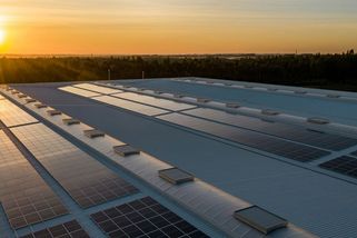 Příliš mnoho slunce? Evropské solární elektrárny čelí klesající ziskovosti