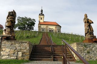 Bzenec: Místo, kde voní horký písek, borovice a víno teče proudem - Médium.cz