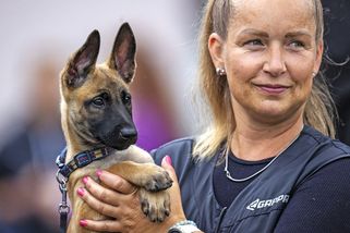 Foto: Formule 1 mezi psy hlídá Bílý dům, výbušninu pozná z molekuly - Seznam Zprávy