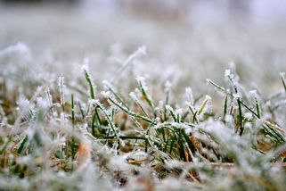 Jarním teplotám je konec. Do Česka opět vtrhnou mrazy, dojde i na saharský prach