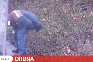 Fekální recidivista vykonal velkou potřebu přímo před vchodem do obchodního domu