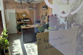 Skupina Twist nechala část zaměstnanců Kytek od Pepy bez výplat - Seznam Zprávy