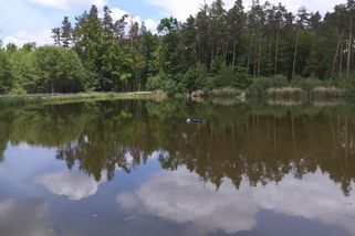 Řidič na Jindřichohradecku vyletěl ze silnice a utopil audi uprostřed rybníka - Novinky