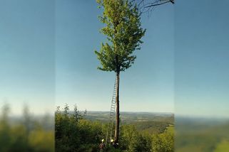 Paraglidista trefil na Prachaticku nejvyšší strom široko daleko, zůstal na něm viset - Novinky