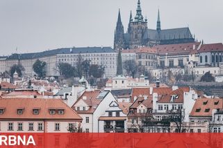 Trump si bude moci dělat, co chce. Američany v Praze výsledky prezidentských voleb zklamaly
