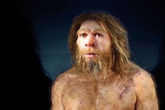 Příčina vymření neandertálců? Nekřížili se, naznačuje nová studie - Novinky