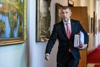 Babiš: O složení delegace na summit NATO vláda rozhodne 8. června | ČeskéNoviny.cz