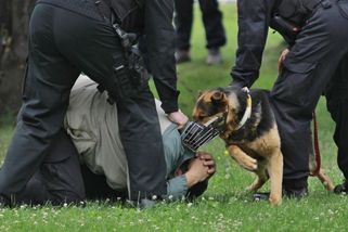 Brutální zákrok v Budějovicích: Policista bezbranného mladíka kopal a mlátil, ukazuje video
