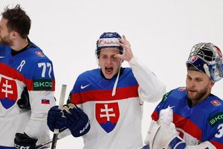 „Češi už byli na kolenou.“ Slováci supí kvůli Červenkově gólu. Nejde jen o brusli