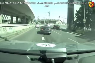 Policie v Praze zajistila po drsné honičce audi ukradené v Brně. Majitel ani netušil, že mu vozidlo chybí - Novinky