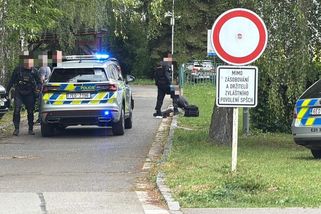 Podezřelý z vraždy dívky jde do vazby. Cestou k soudu ho museli chránit těžkooděnci | TN.cz