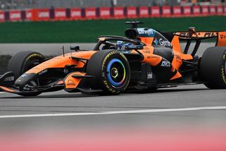 Neobvyklá pocta. Nově objevený druh vosy ponese jméno pilota F1 - Sport.cz