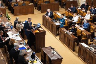 Sněmovna podpořila rozšíření úpravy trestného činu neplacení výživného - Seznam Zprávy
