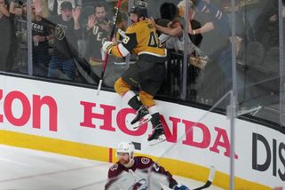 NHL | Z českých hokejistů se v kanadském bodování může zvednout pouze Hertl - Sport.cz