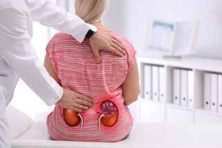 Součástí preventivní prohlídky u praktického lékaře bude nově vyšetření ledvin. Kdy jej podstoupit? - Proženy.cz