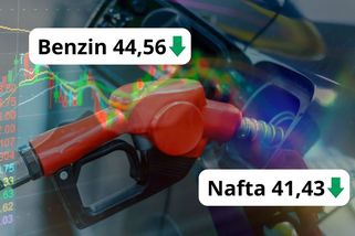 Ve středu vyrazte na pumpy, benzin a nafta opět zlevní