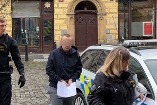Soud vzal do vazby 29letého muže, který v Praze zapálil stáj s koňmi - Novinky