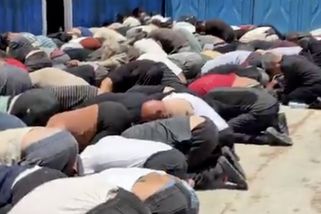 Video: „Vítejte v Izraeli.“ Smějící se ministr urážel spoutané aktivisty - Seznam Zprávy