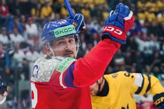 Neuznaný gól a další chybné verdikty. Rozhodčí na MS opět poškodili českou reprezentaci