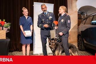 Je to oficiální: má Statečné psí srdce. Psí policejní hrdina z Liberce zabodoval v celostátní anketě