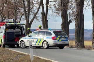 Tragická nehoda na Mělnicku, řidič zemřel po nárazu auta do stromu - Novinky