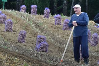 Lukašenko překvapuje: Ukrajina musí existovat jako suverénní a nezávislý stát - Novinky