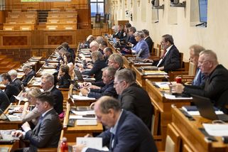 Senátoři neschválili Istanbulskou úmluvu o potírání násilí na ženách - Novinky