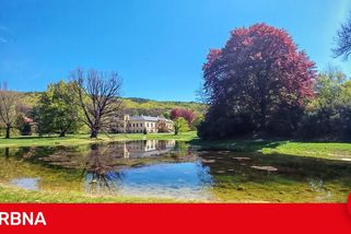Rybí vetřelci u zámku. V Čechách pod Kosířem hrozí vypuštění revitalizovaného rybníku