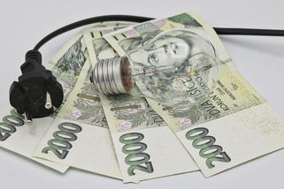 Cena elektřiny pro české domácnosti dramaticky narůstá – faei.cz
