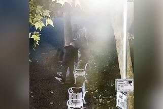 Soud potrestal šéfa strážníků ve Stříbře. Cizince bezdůvodně praštil do hlavy a hrozil mu obuškem | Novinky.cz: Krimi