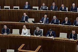 Máme jiné hodnoty. Slovensko se ohradilo proti výzvě Nizozemska zažalovat ho za změny ústavy - Novinky