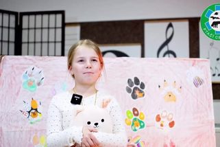 Vyhořelý útulek pro zvířata v Brně bude díky velké pomoci obnoven - Novinky