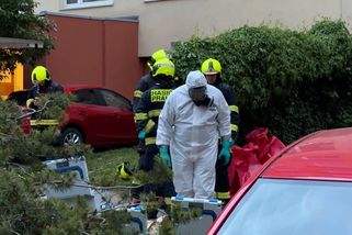 Policie v Praze vyjížděla do bytu, kde se nacházely nové smrtící drogy - Novinky