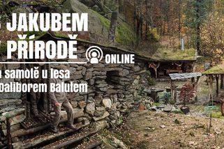Na samotě u lesa s Daliborem Balutem | S Jakubem v přírodě online