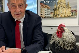 Kohouta Silvera si Babiš vezme do vlády jako ministra zahraničí - Médium.cz