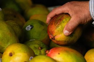Potraviny, tequila, elektronika i hračky. Američanům se cla prodraží - Novinky