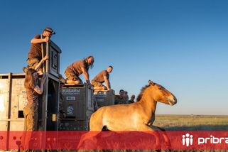 Převaláci už jsou v Kazachstánu. Proběhl další unikátní transport
